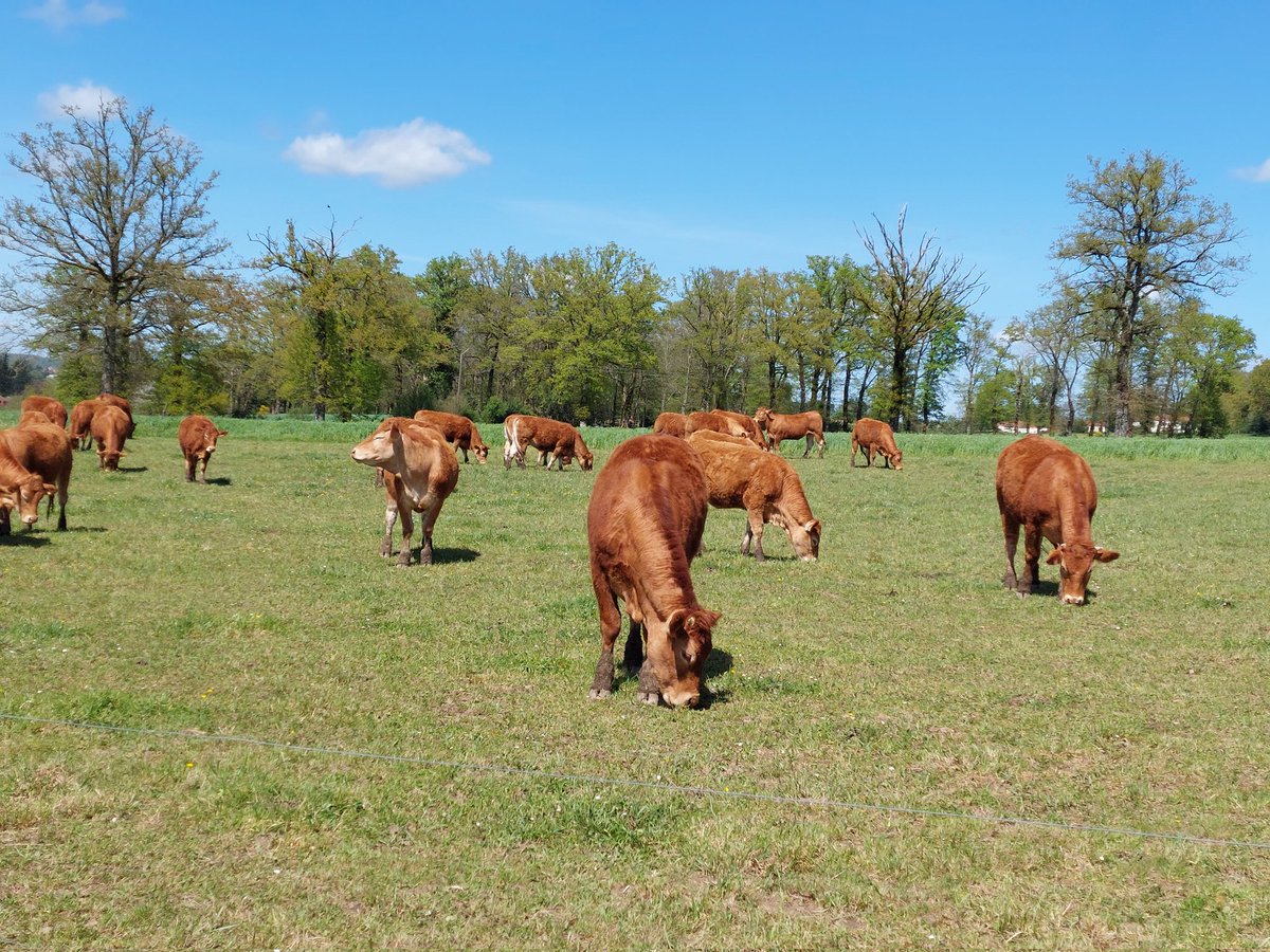 gene (@gene23vieve) on Twitter photo 