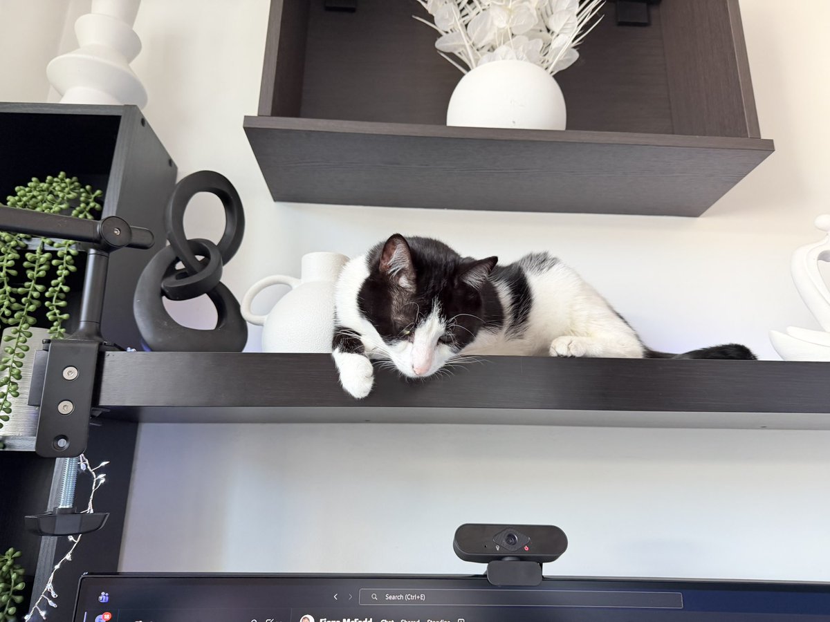 WinnieTheShit /// tweet media