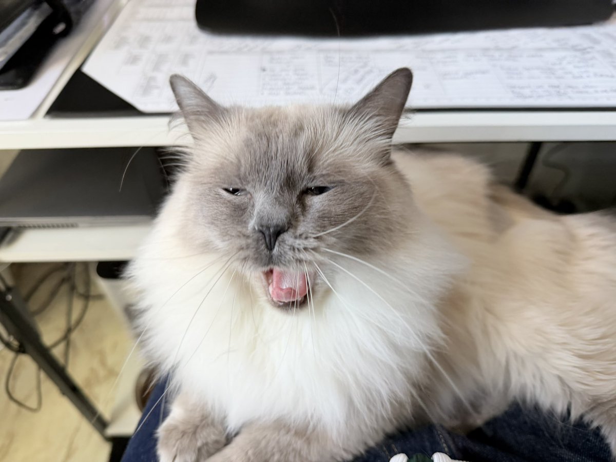 WinnieTheShit /// tweet media