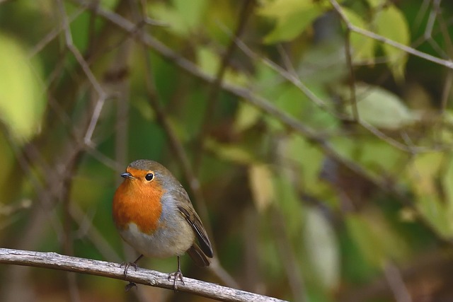 Michael Meeks tweet media