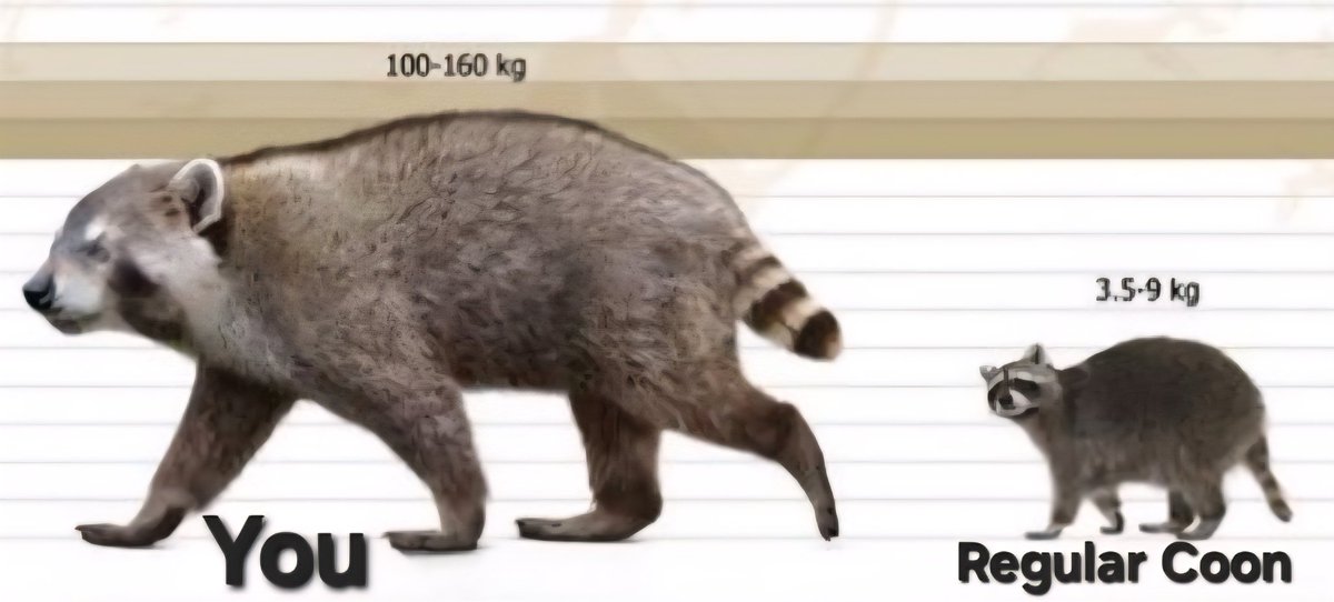 AJ Curet tweet media