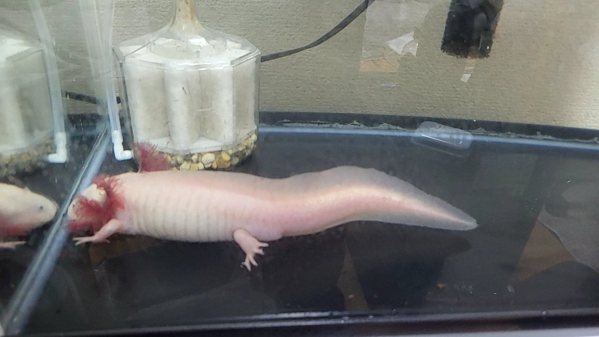 タカ砲ちゃんねる 旧光宙ちゃんねる tweet media