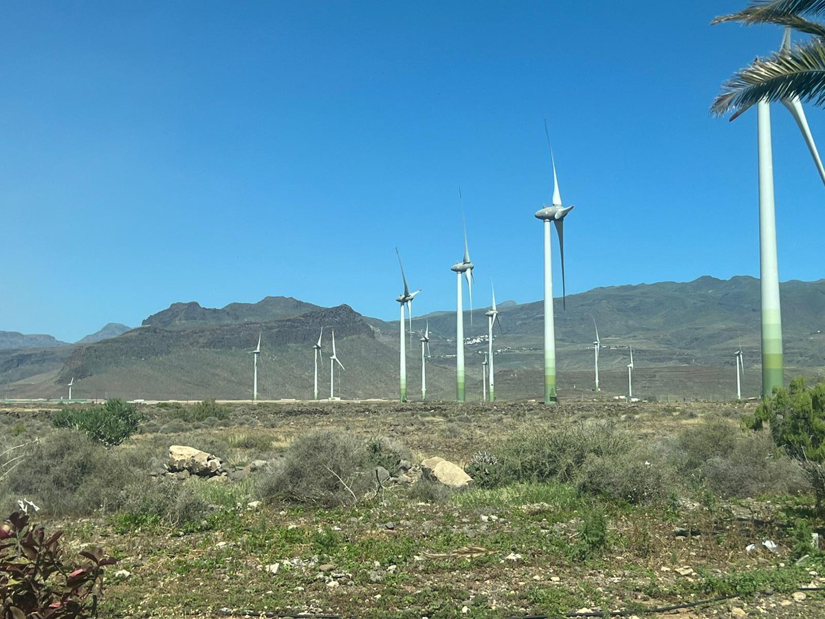 Edgar Cedrés tweet media