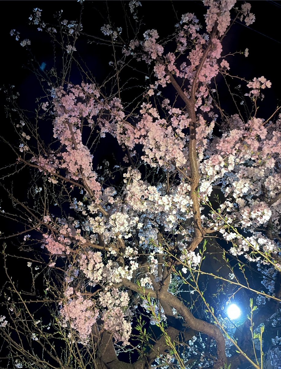 赵天佑🐉K908 🀒NO WAR tweet media