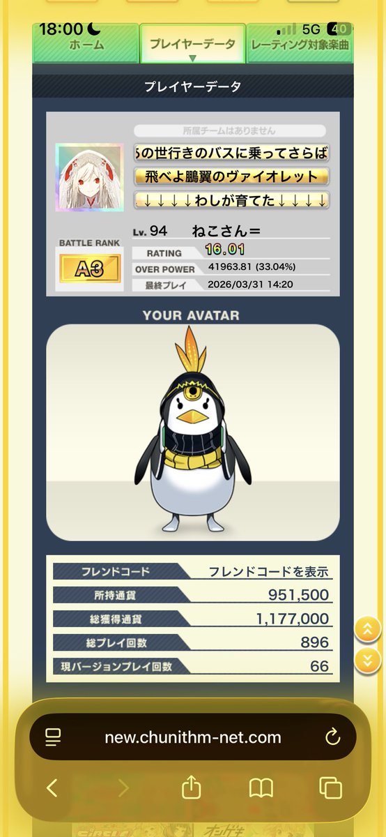 ねこさん= tweet media