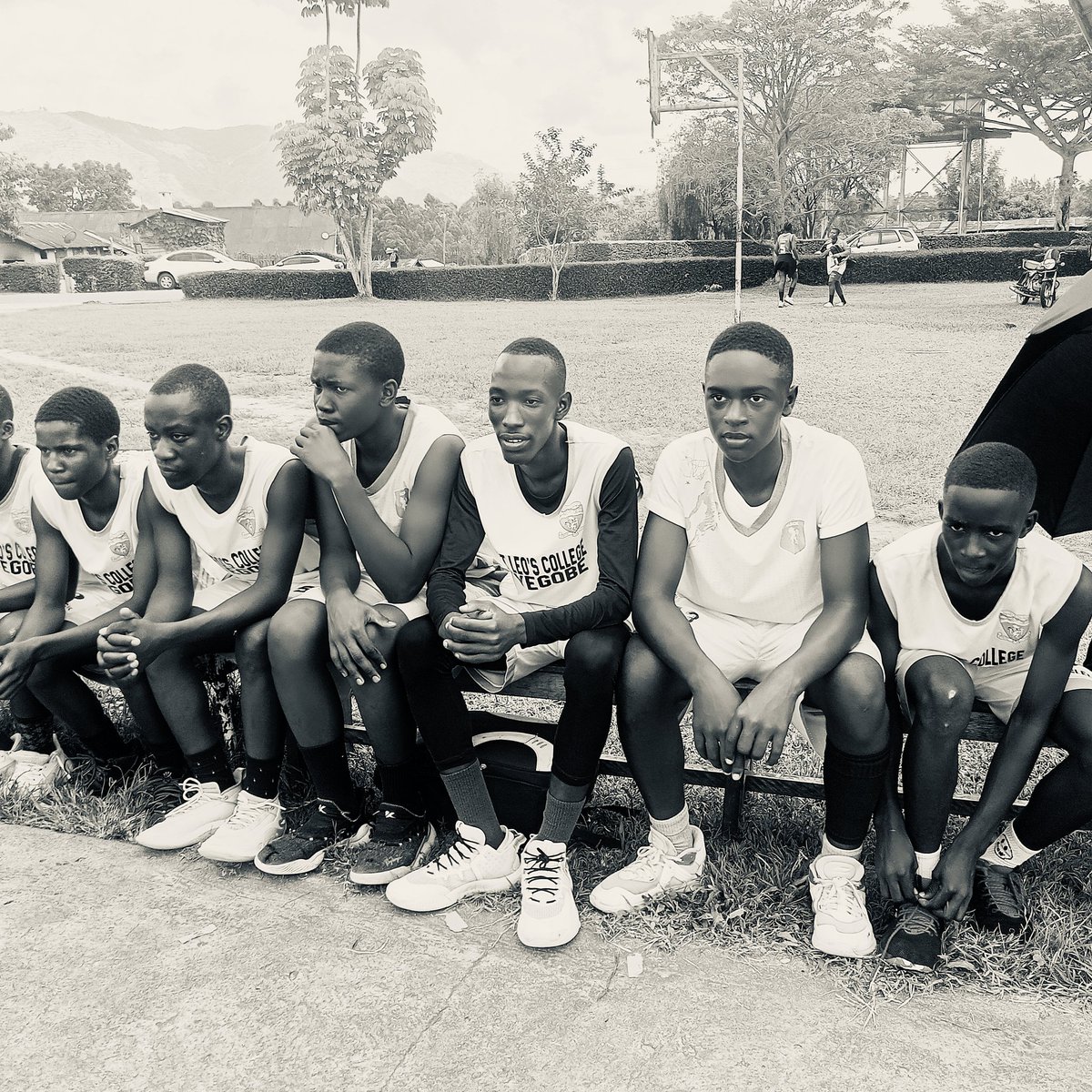 SLECK1921's tweet photo. 📸
#TooroRegionBasketBallChampions
#SLECK1921
#LIONS https://t.co/0i8WBQdxFj