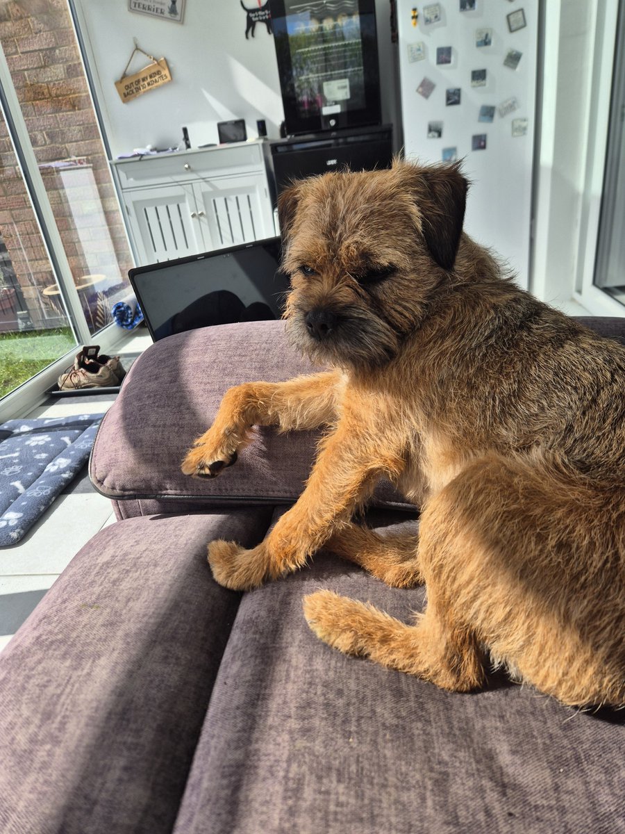bthooligan's tweet image. #BTPosse Are you getting my lunch woman or what? #Boss #HRH