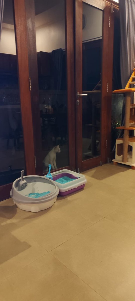 Rin | 🎈#1312 tweet media