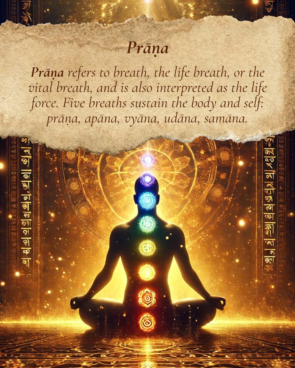 Aleph Book Company tweet media