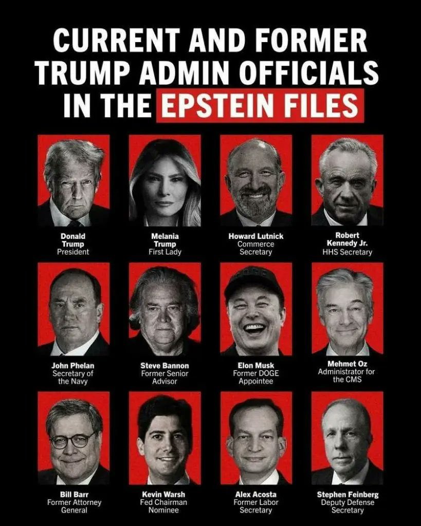 Lioness 🦁✨ tweet media