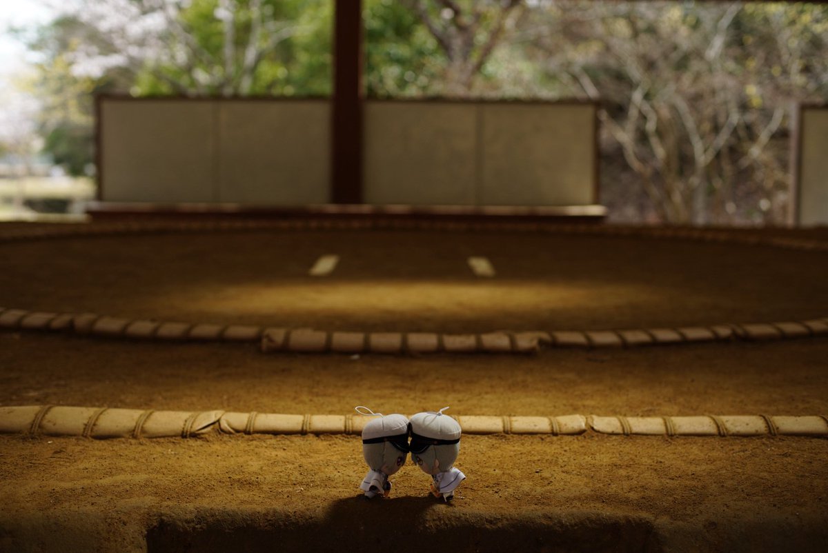 オエと春夏秋冬 tweet media