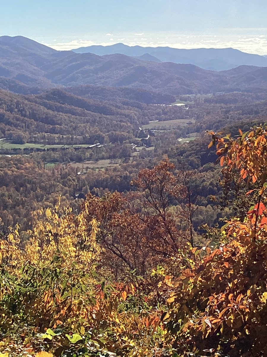 Champ_Ferguson tweet media