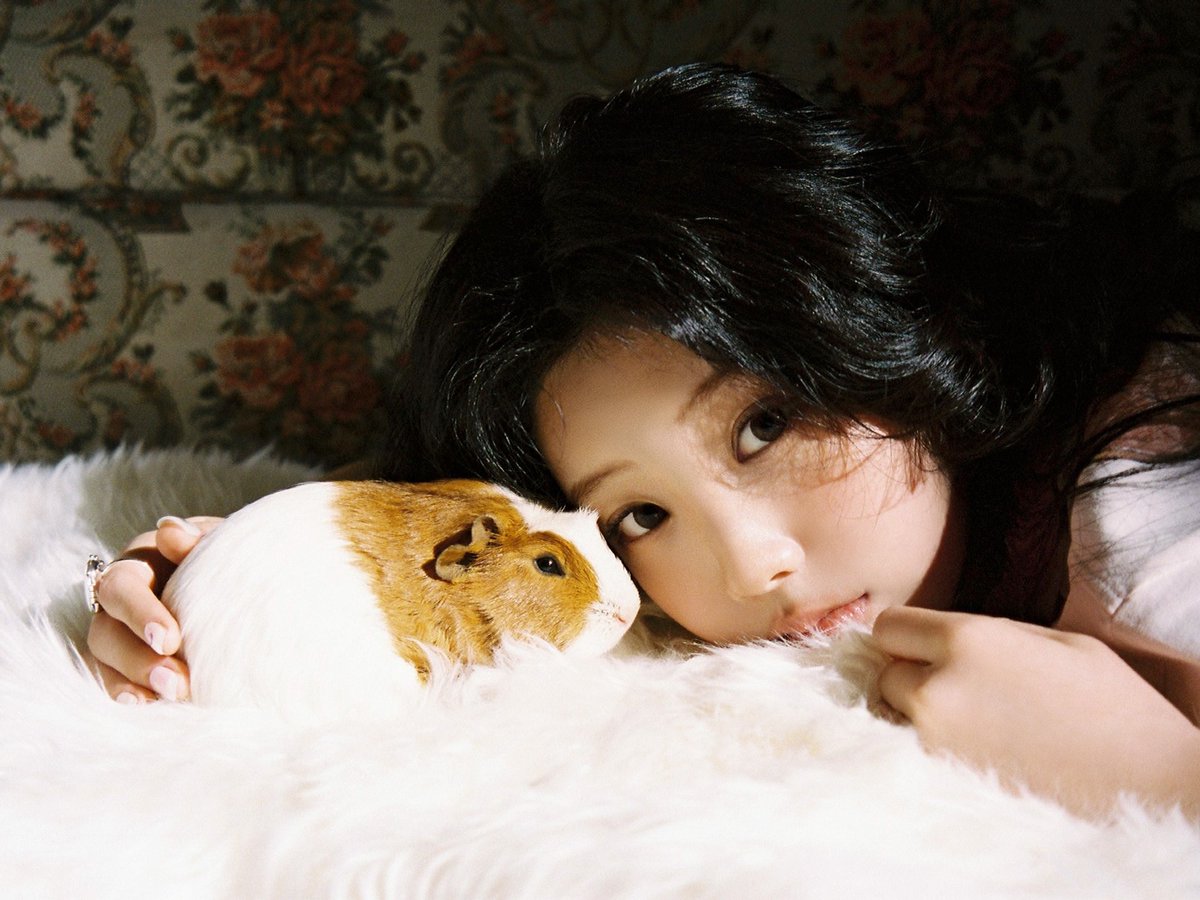 • ⩊ • tweet media