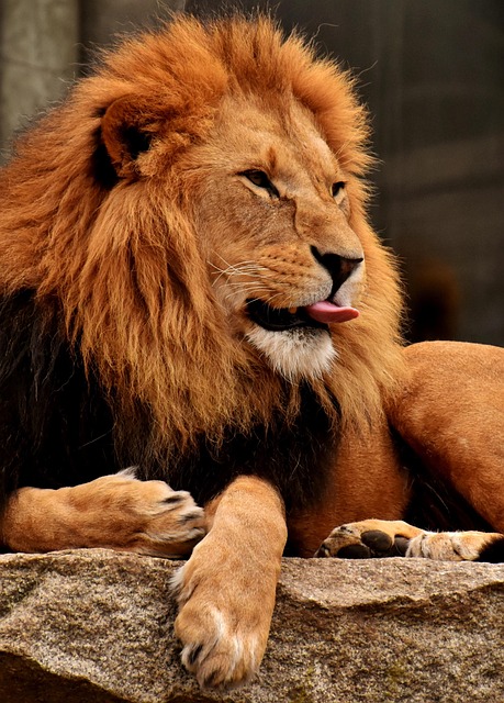 Traci Davis tweet media