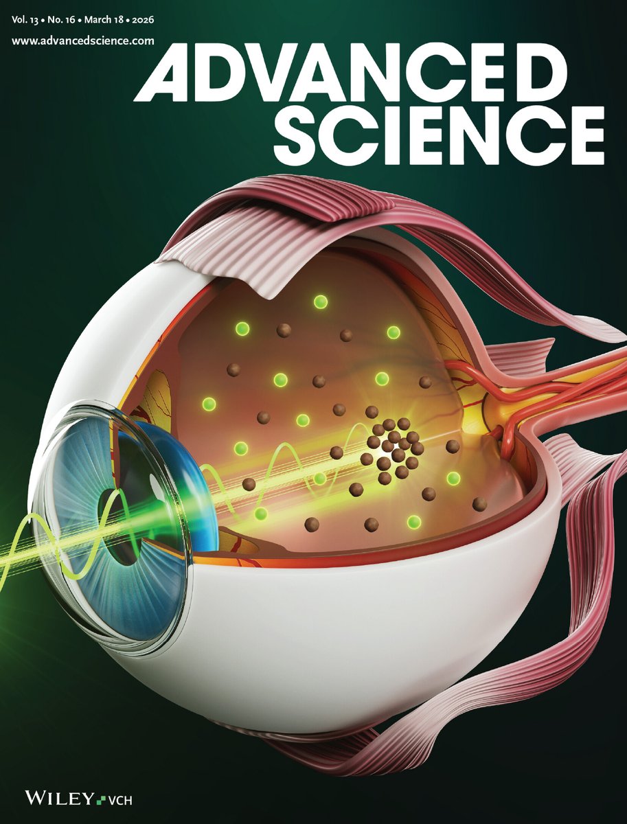 Ella_Maru's tweet image. 👁️ Our new cover, featured in #AdvancedScience!✨

Did you know that #nanoparticles are used for the drug delivery inside of a human eye? 👀 (Honestly, I knew only about the eye drops 🤭)
Not only that, but scientists can now use a #laser to steer nanoparticles to exactly the