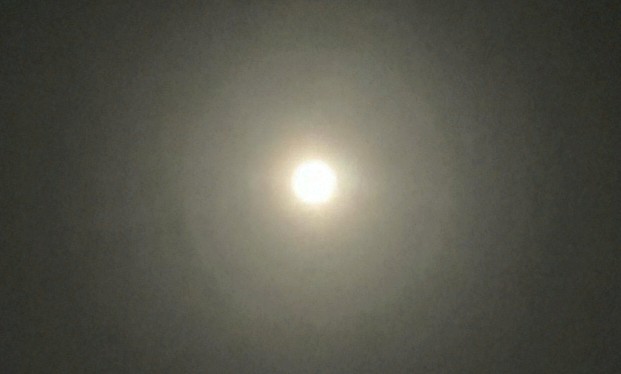 レオダヨー tweet media