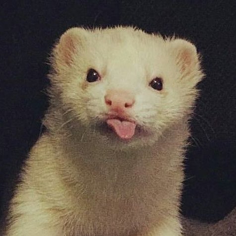 딸기 케이크 🌟Hyunjin Cartier Panther🌟 tweet media