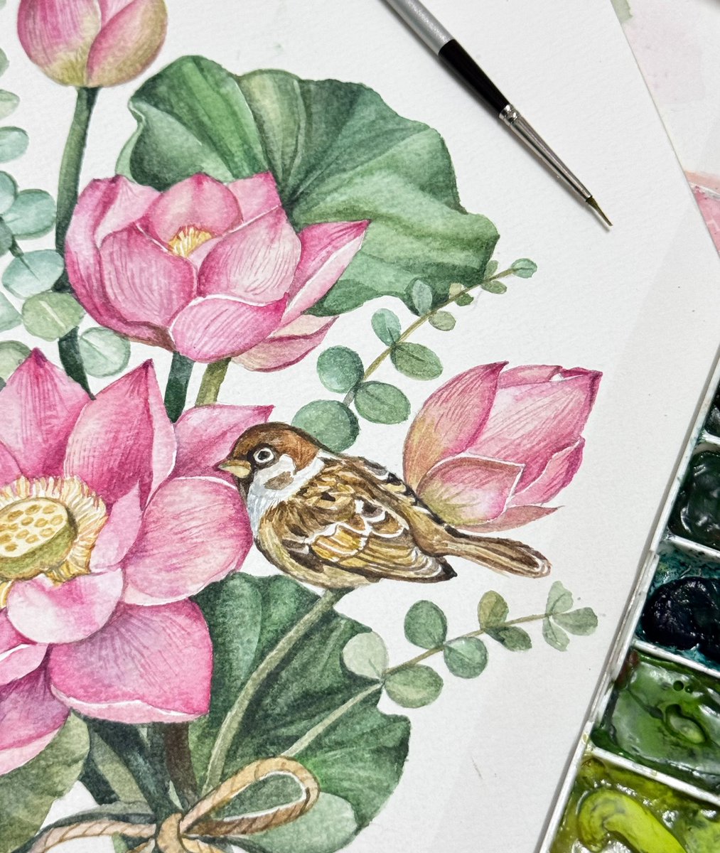 wipa insky #IFEXPO26 J56 tweet media