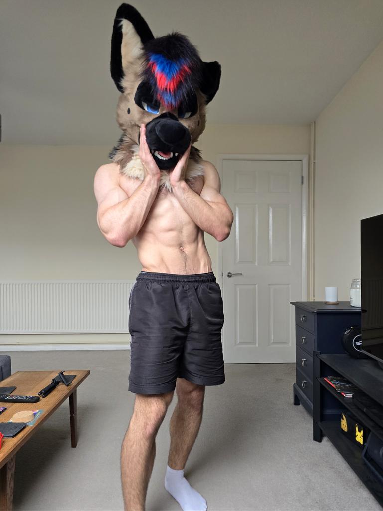 Echo Shep 🌈 tweet media