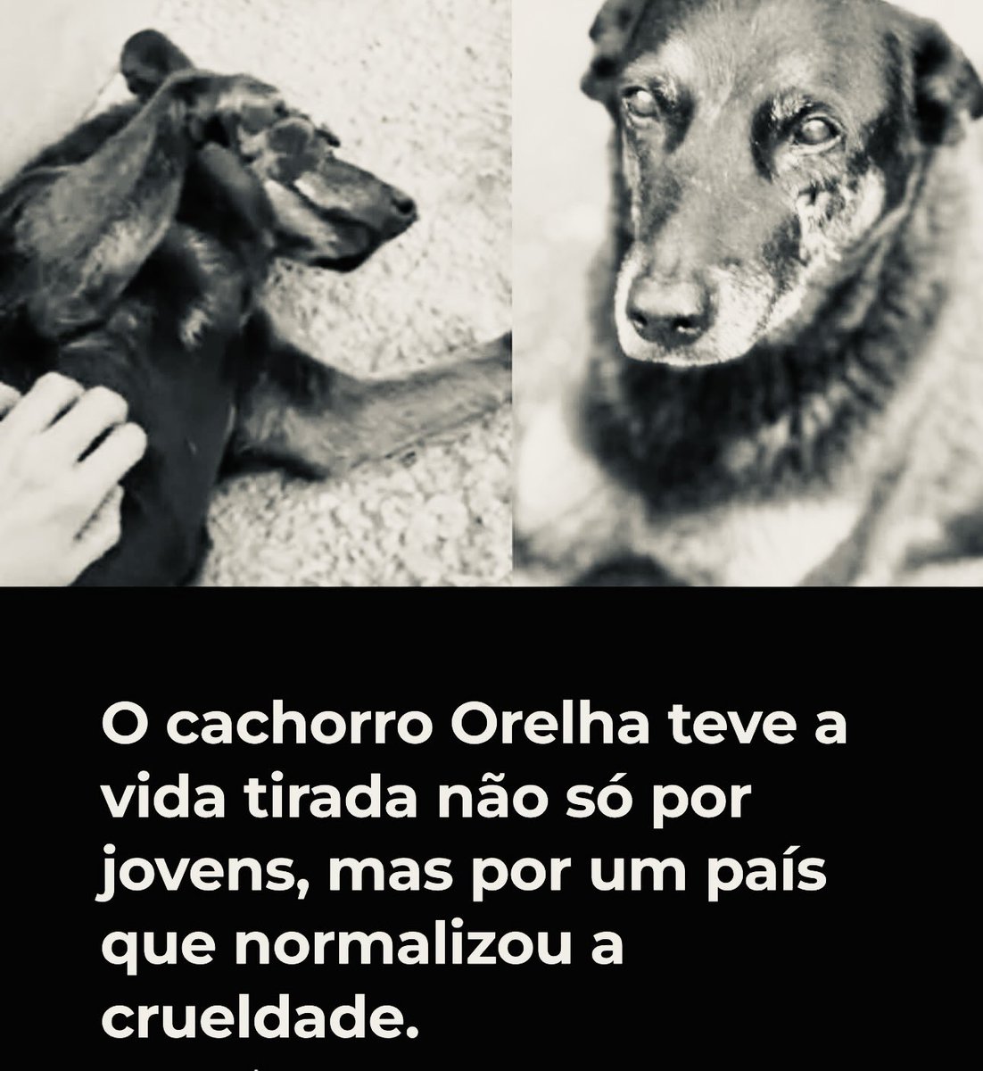 Marco Valverde ® tweet media