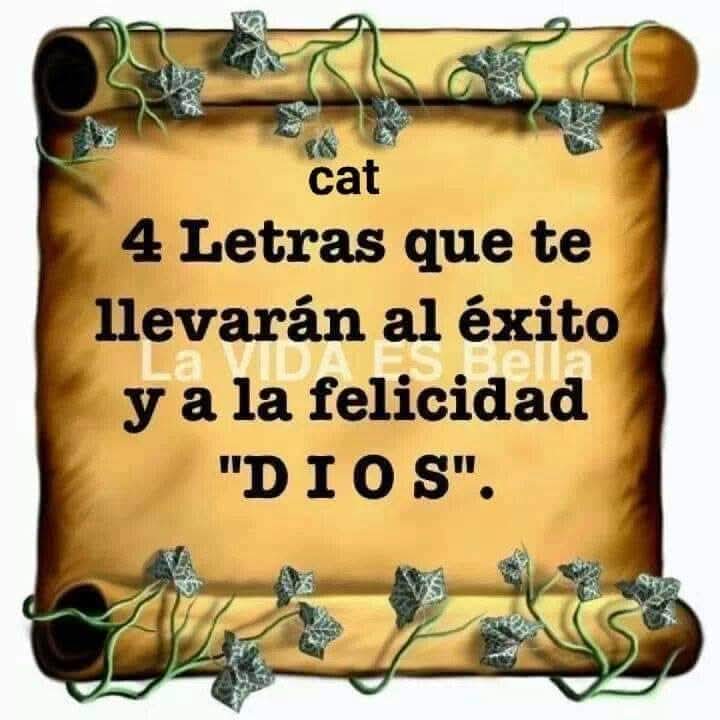 Carlos Arrioja Torres tweet media