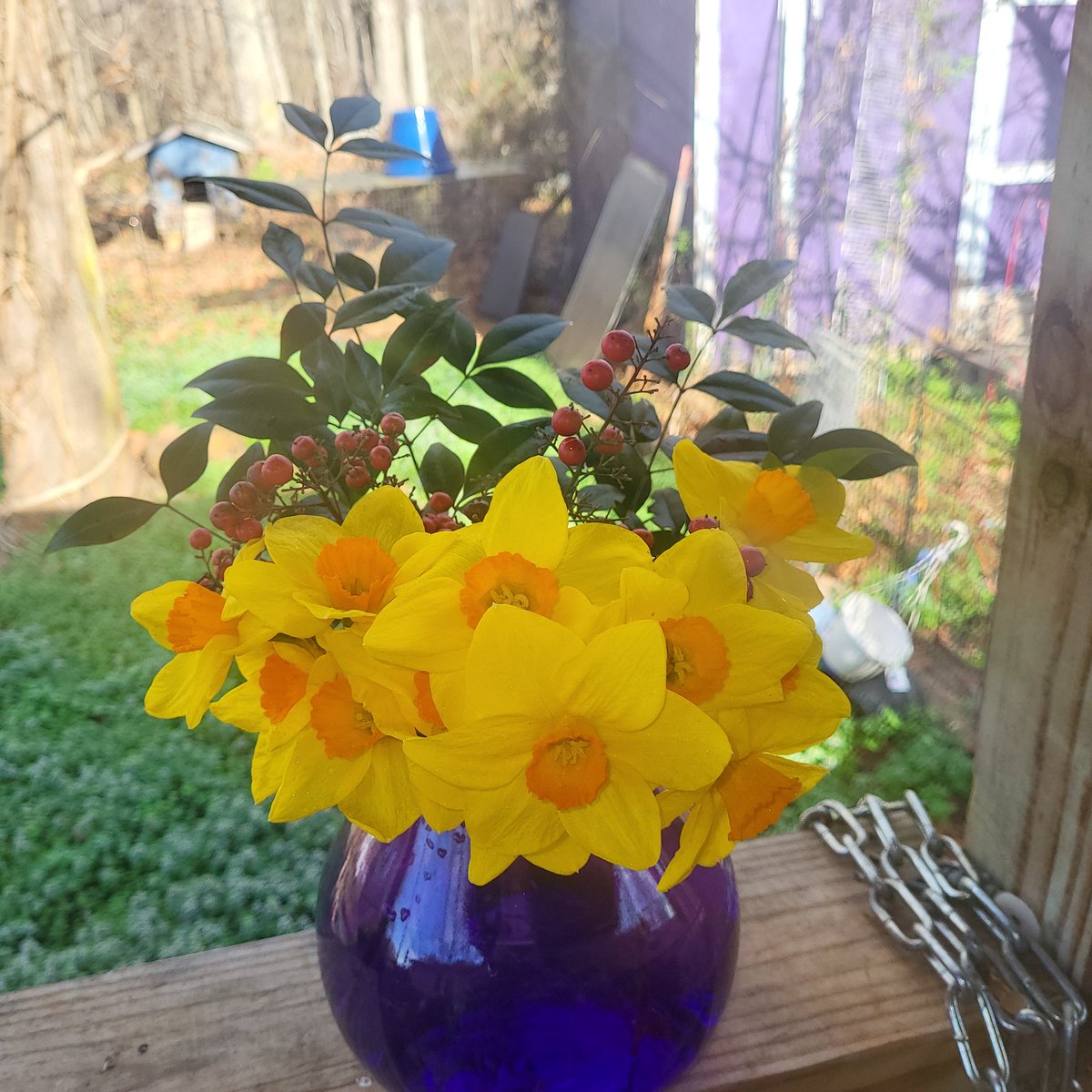 Melissa Michael 💛🤍💜 tweet media