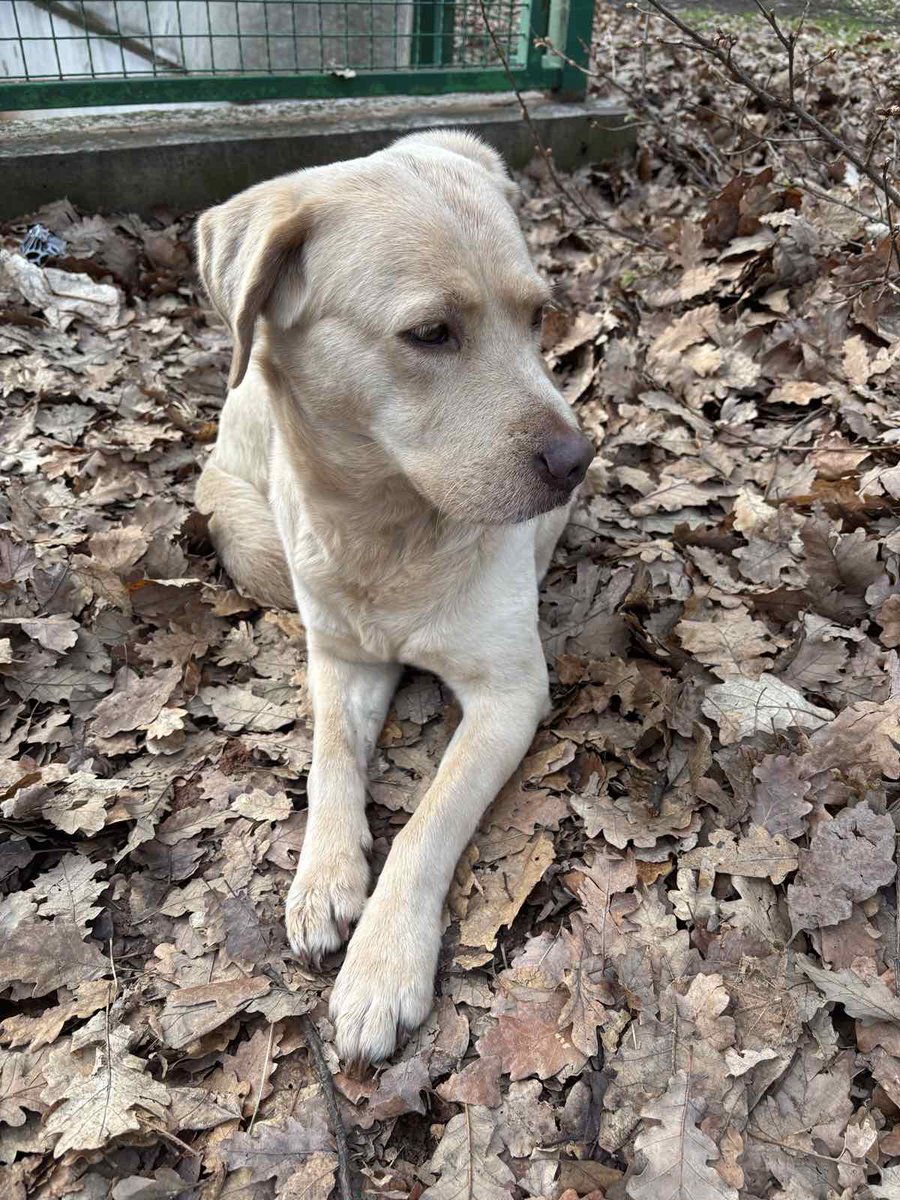 Века tweet media