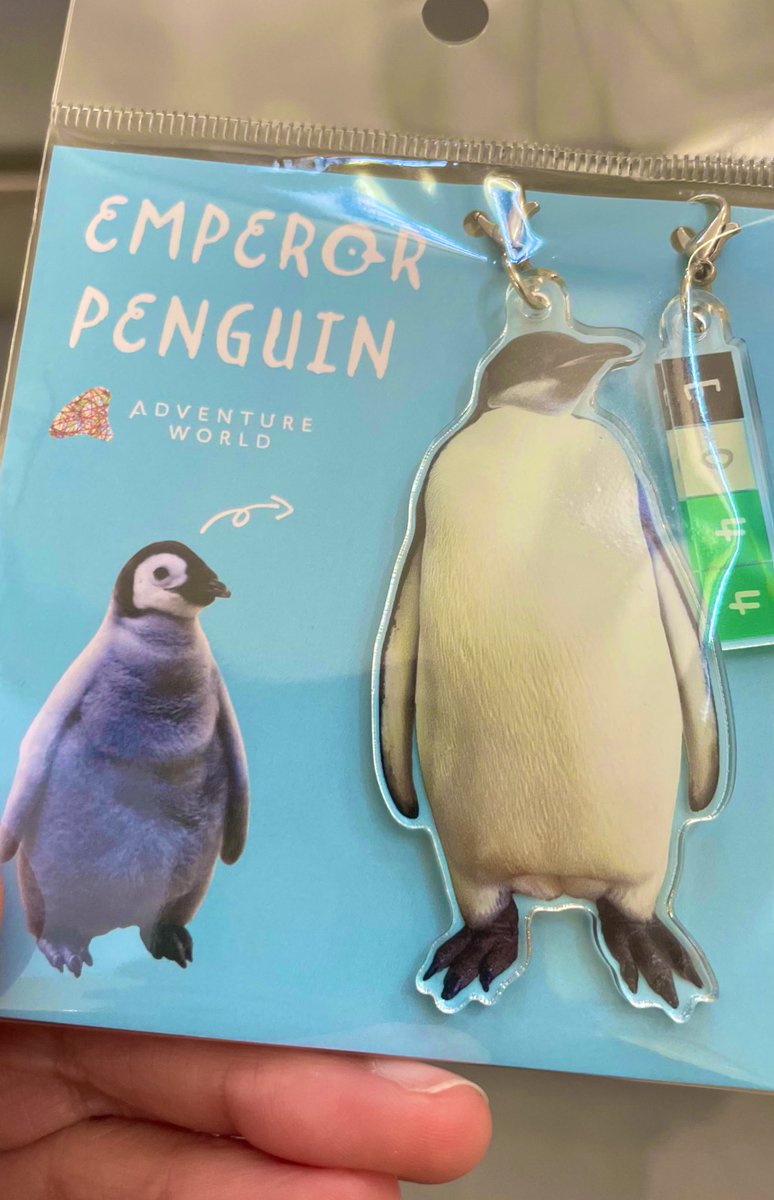 ハル🦤 tweet media