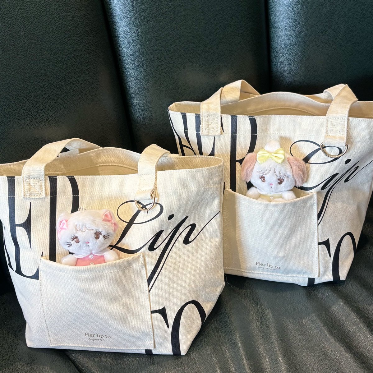 𝒴🐼 tweet media