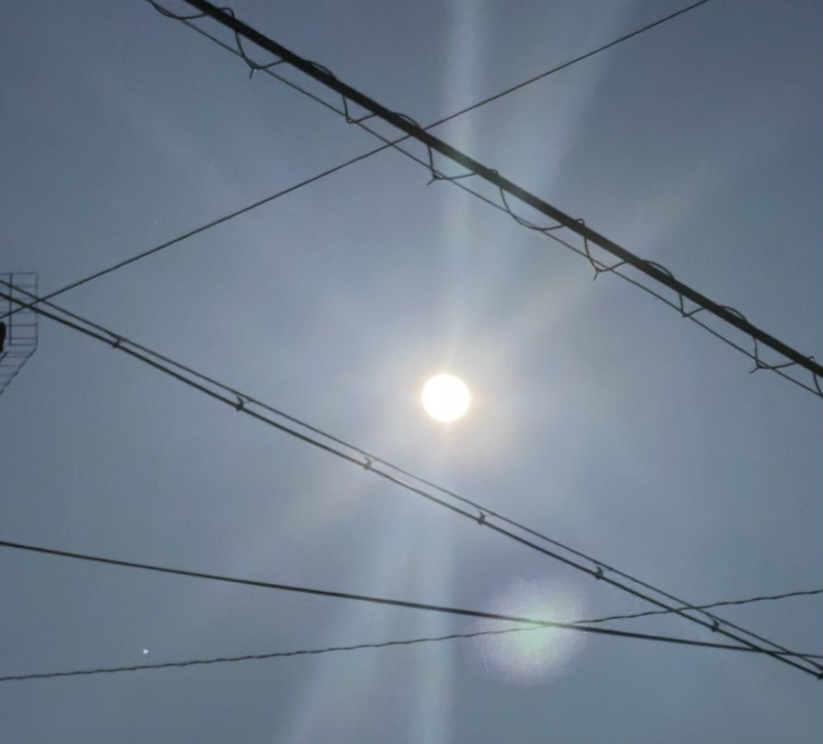 コウ（☀️♒️🌙♋️） tweet media