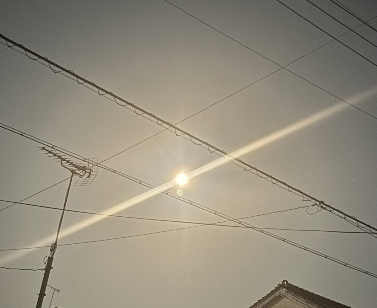 コウ（☀️♒️🌙♋️） tweet media