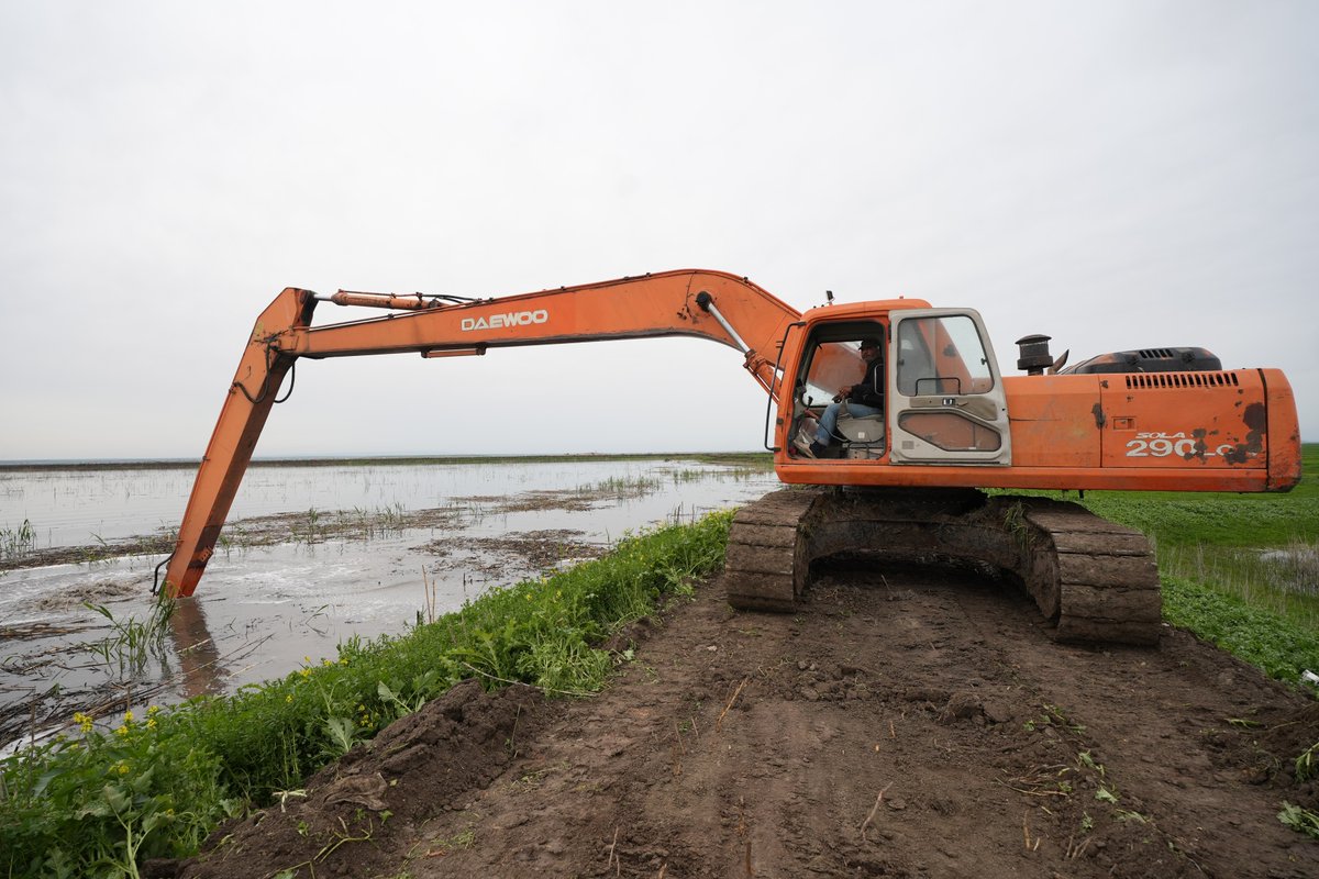 FAOSyria's tweet photo. Flooding in the southern #Aleppo is putting 30,000 hectares of farmland &amp; 300 farming families at risk.   
@FAO has mobilized rapid protection measures to reduce the impact of potential flooding and mitigate the risk of further devastation. https://t.co/HrgYPd9Lnn