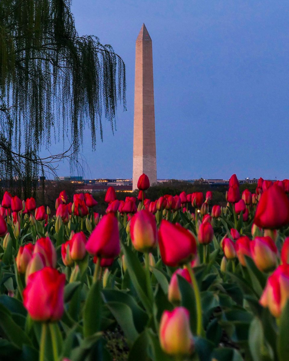 Visit Washington, DC tweet media