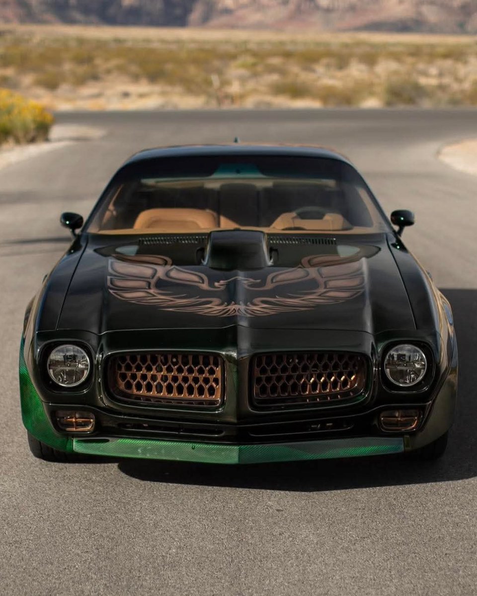 Mopar_Logic's tweet photo. Dope or nope? Pontiac Firebird TransAm https://t.co/6J9Zhj2FHj