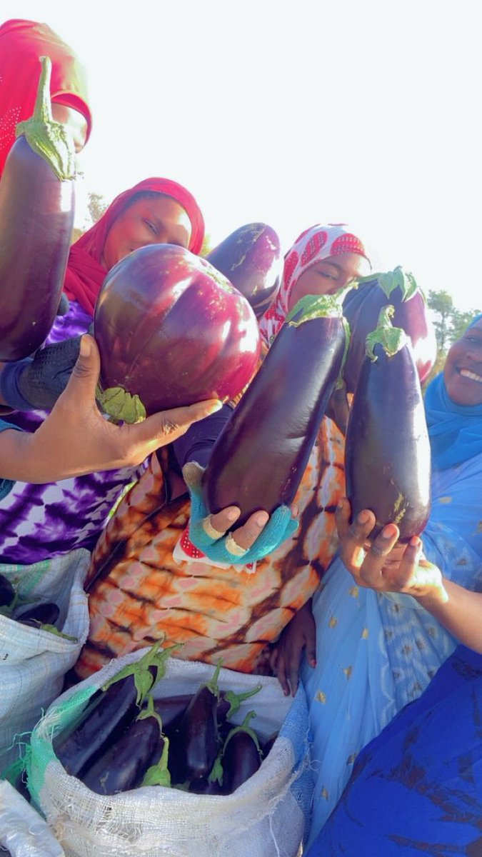 Enabel 🇧🇪 🇲🇷 tweet media