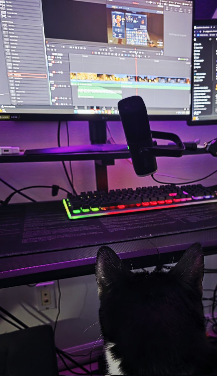W0lfbandit's tweet photo. Gaston is doing the video edits today. If you dont like the next hytale video, blame him! If you do, know I supervised the project the whole way! 

#working #cat #gaston #thisismylifenow #hytale #video #editing https://t.co/M0dazSTyrn