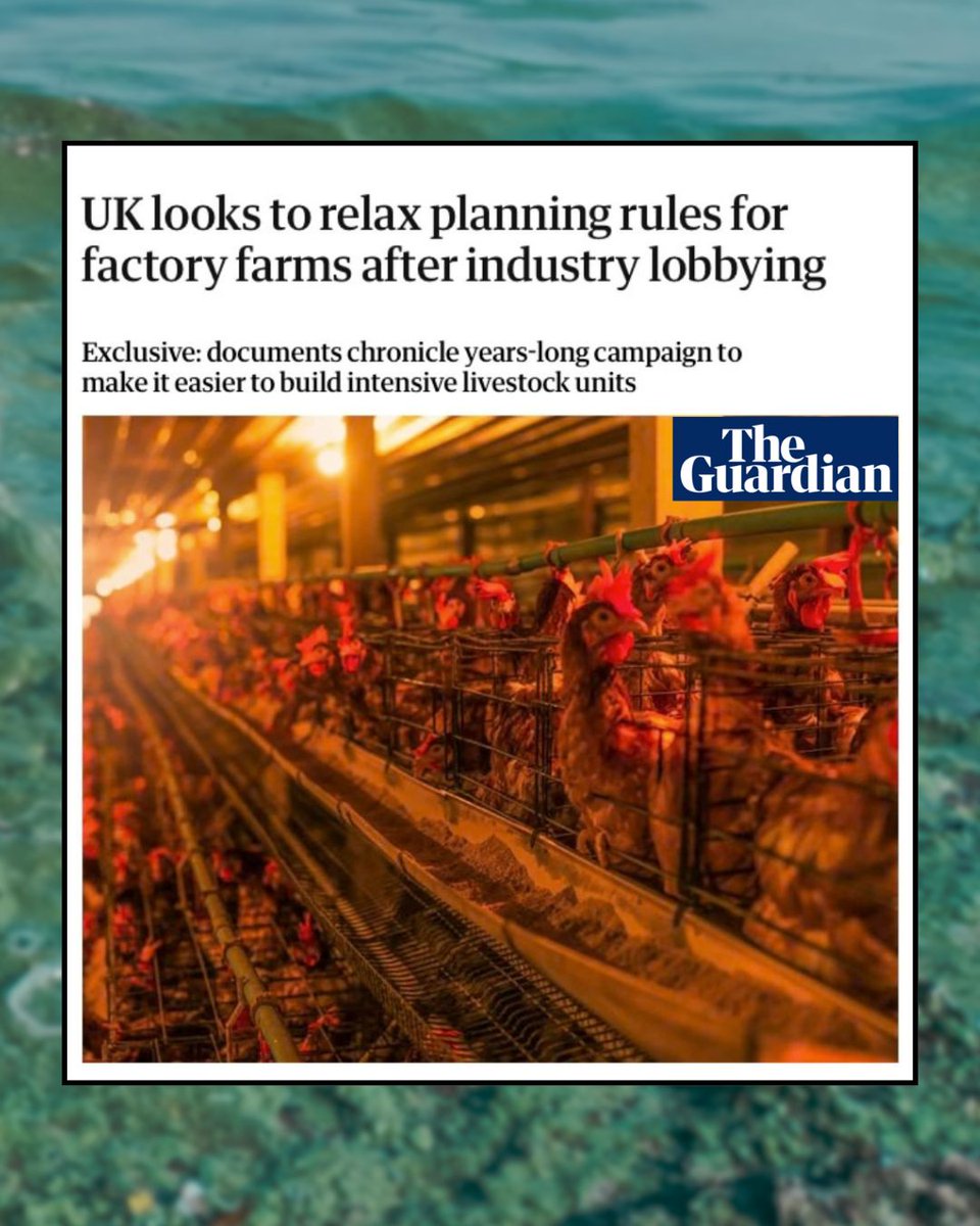 RiverActionUK tweet media