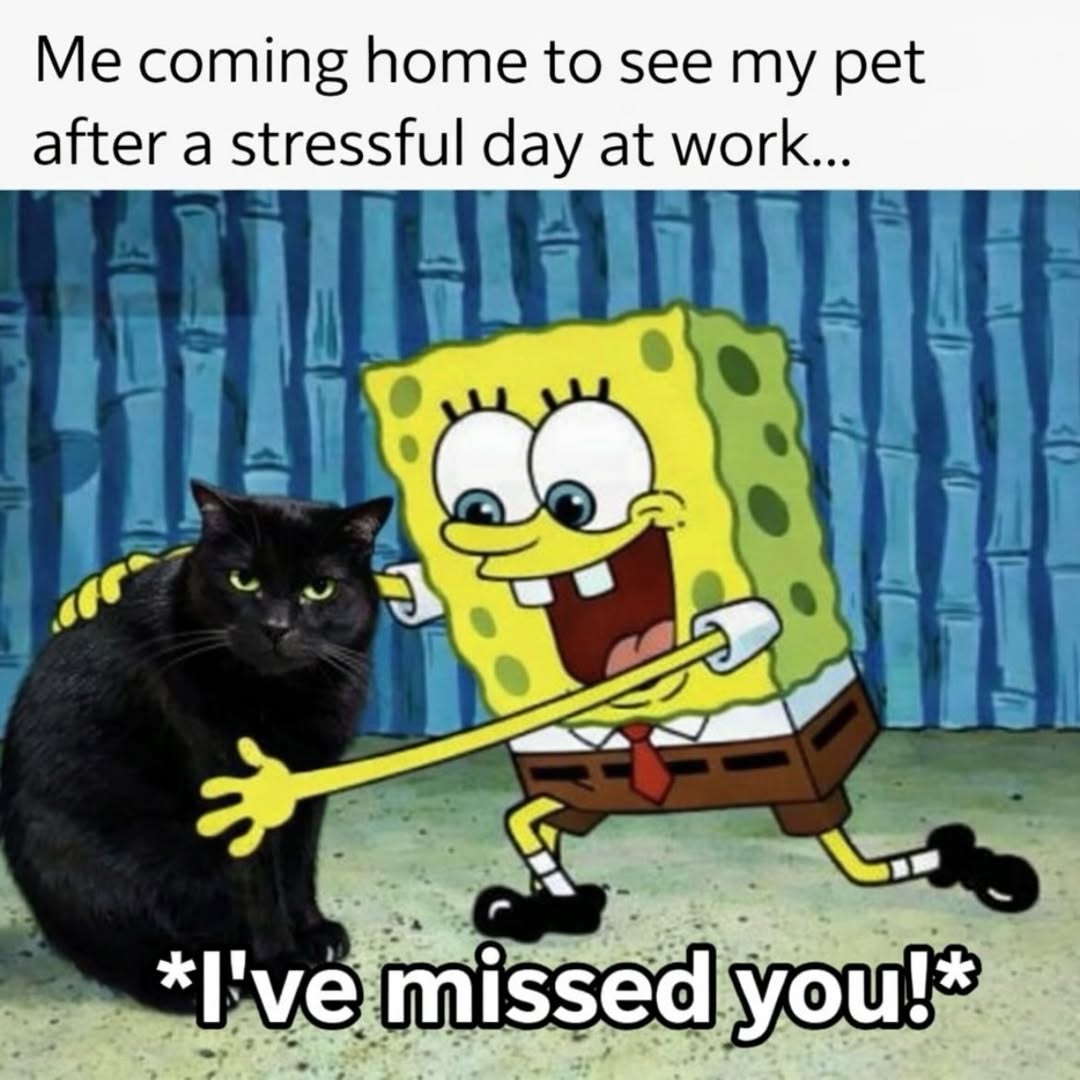 LAnDo NIFFIRG™️🇨🇦 tweet media