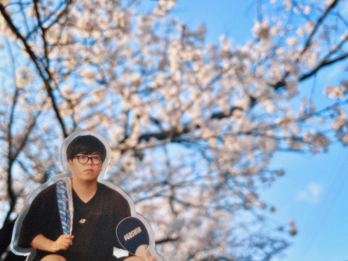 あぐら tweet media