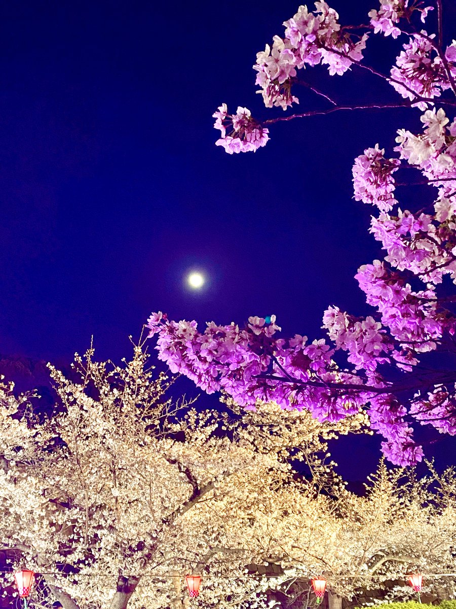 ある🍀 tweet media