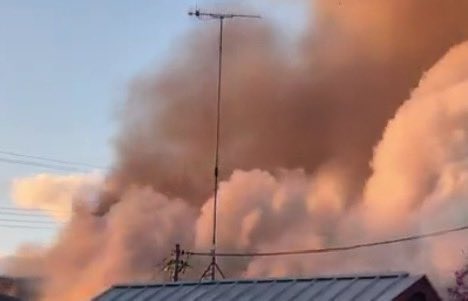 みごりん tweet media