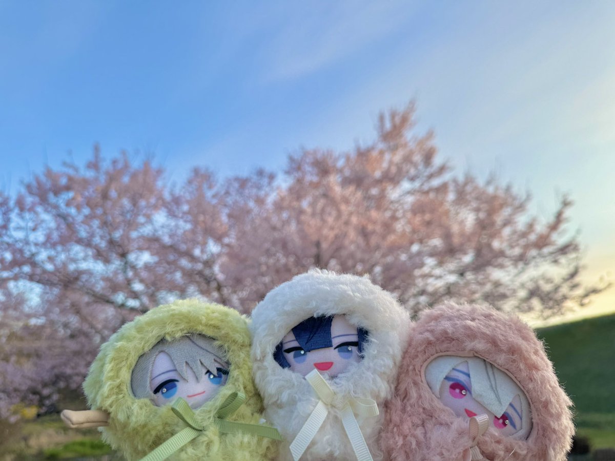 fyk1201's tweet photo. #VΔLZ６周年 
#桜魔の土産 

V△LZ6周年おめでとう〜！！！！
お花見🌸なかよち3色だんご🍡
と
桜を見上げる小さき命たち🌞 https://t.co/3OENtvaYwz