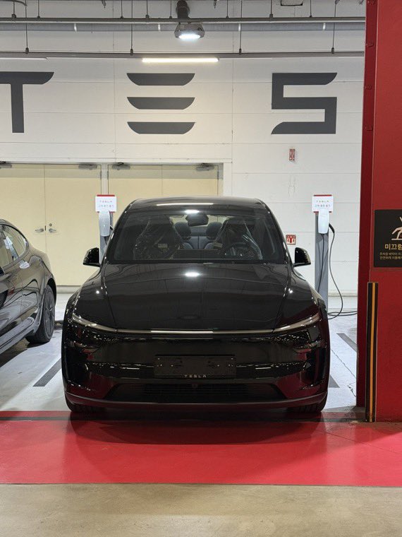 Tsla Chan tweet media