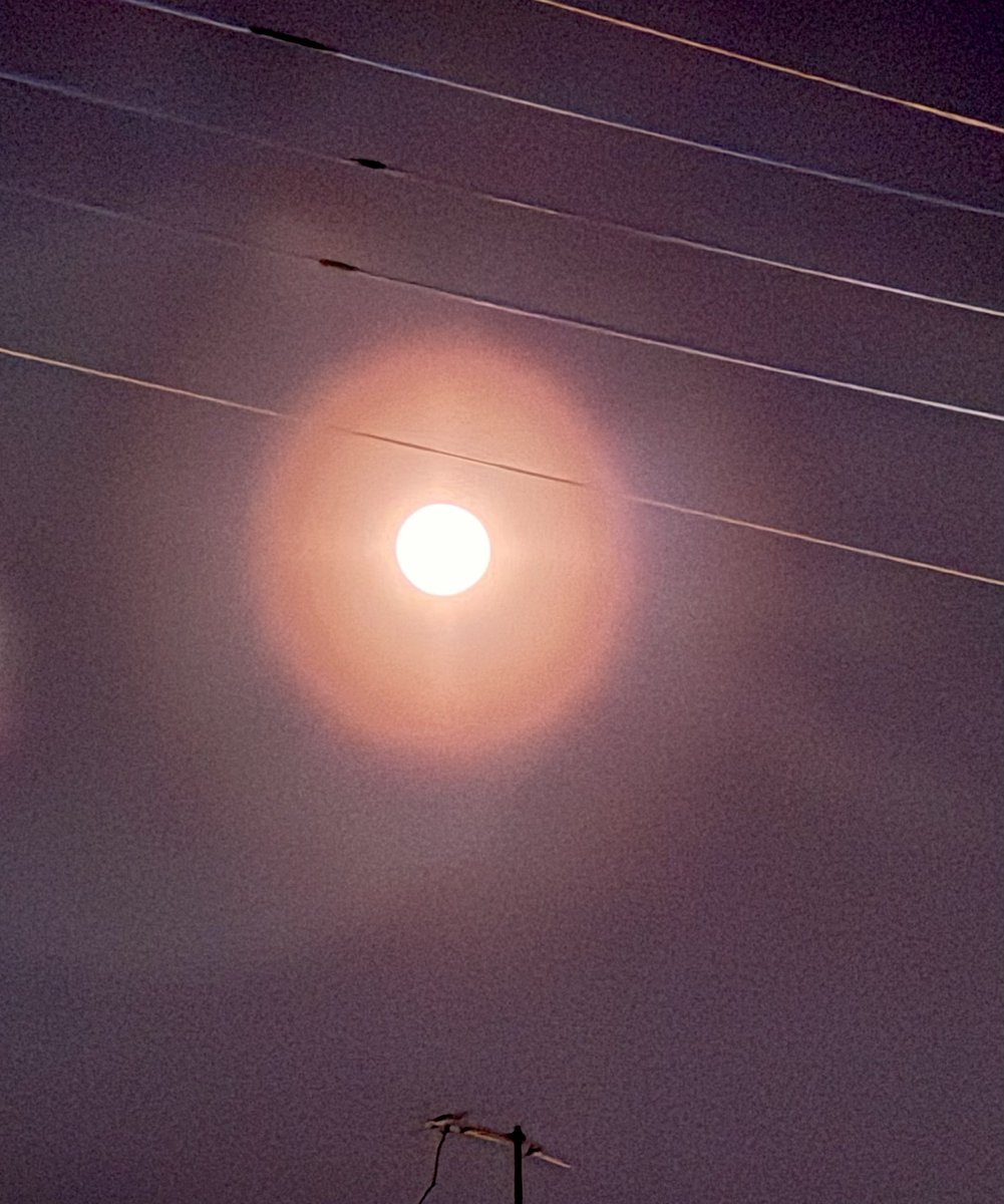 monday_thursday tweet media