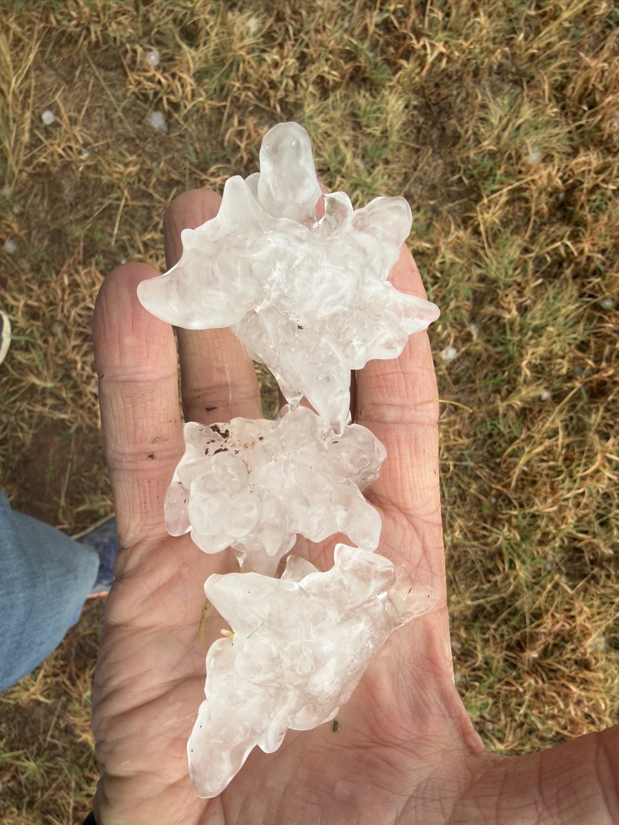 Roger Hill tweet media