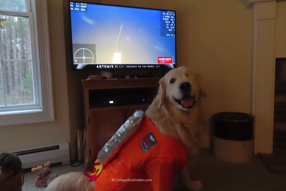 Chuck Billy & Asa tweet media