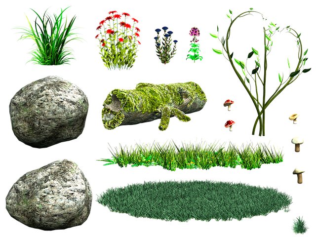 Lisa Douglas tweet media