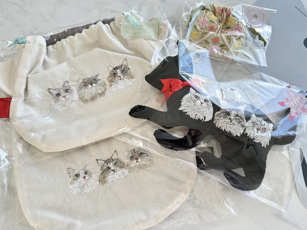 しらす🐟どんぐり🐿️はんぺん🍢 tweet media