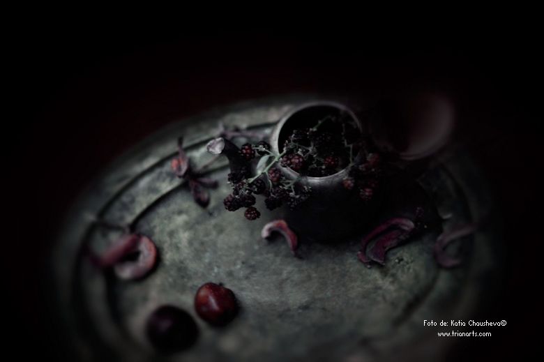 Concha Rodríguez tweet media