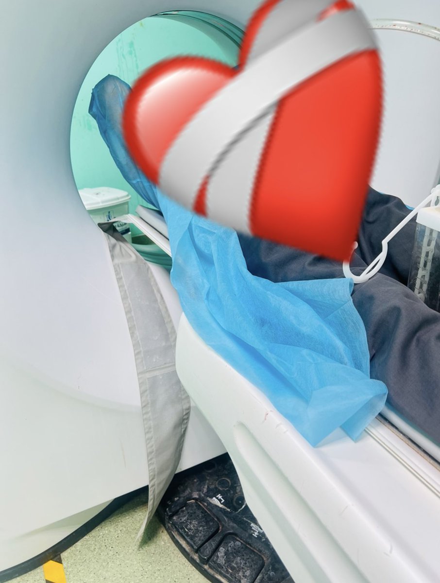 نوڤمبر✨ tweet media